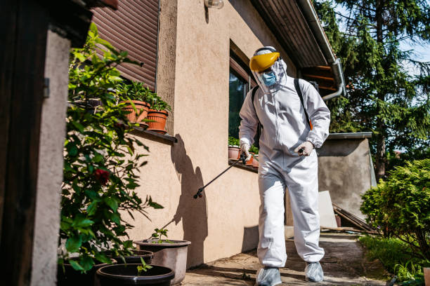 Best Local Pest Control Services  in Kittredge, CO